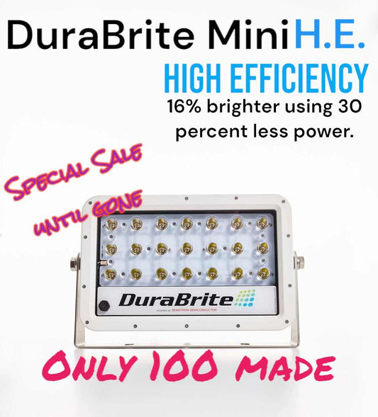 DuraBrite Mini H.E. LED Light